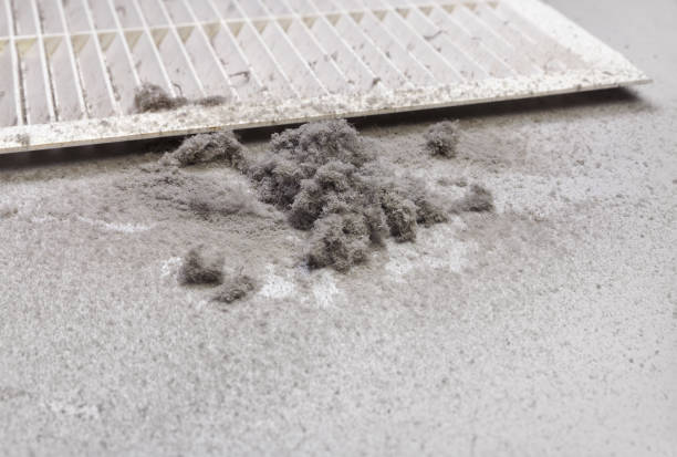 Best Ductwork Cleaning Services  in North Pole, AK